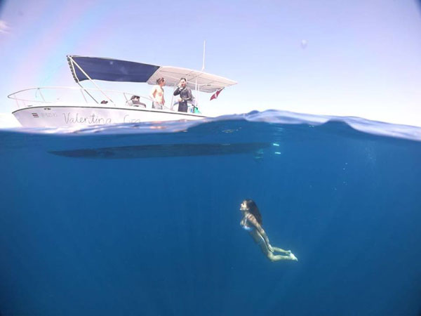 Snorkeling Papagayo
