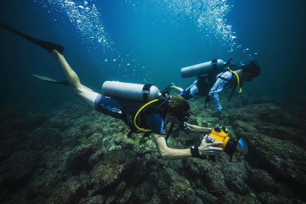 Scuba Diving Papagayo Guanacaste