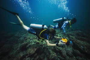 Catalina Islands Scuba Diving