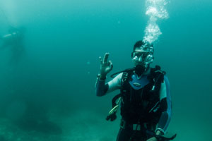 Diving Murcielago