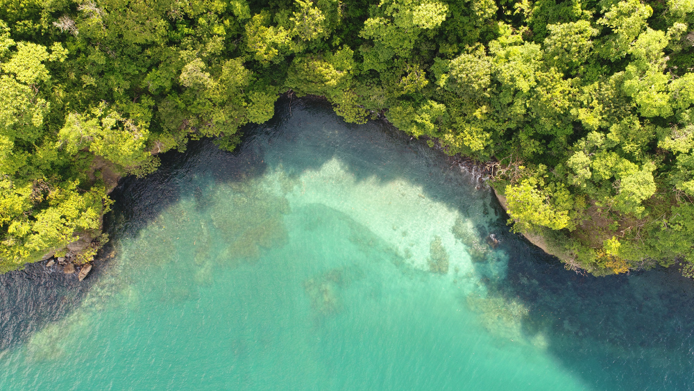 Snorkeling near Papagayo Guanacaste