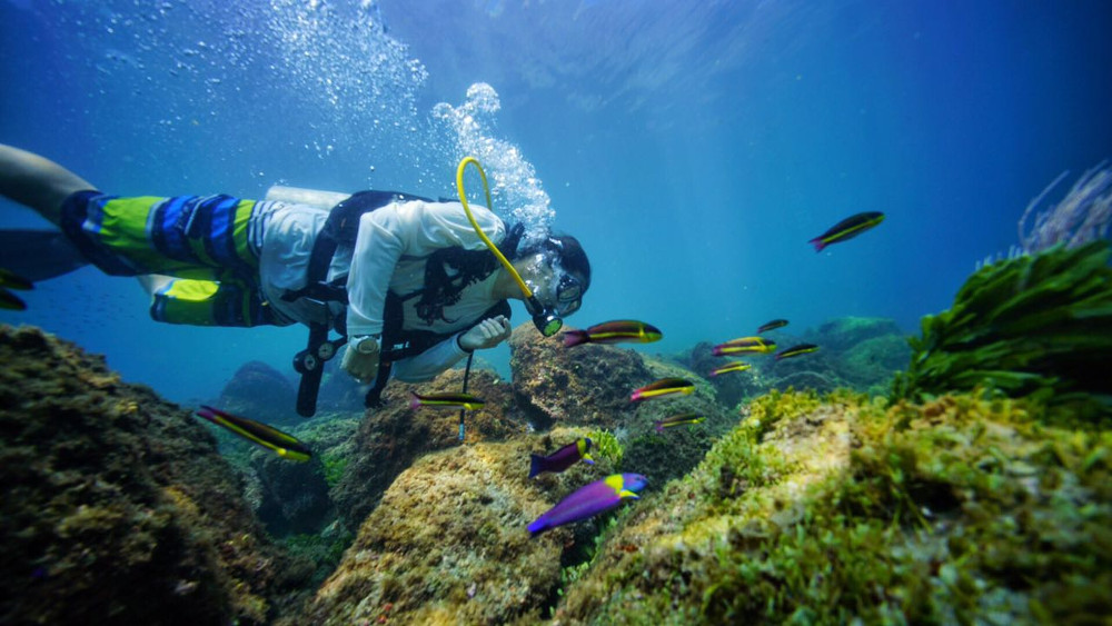 Scuba diving Papagayo