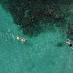 Snorkeling
