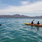 Kayaks