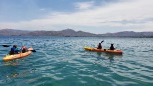 Kayaks
