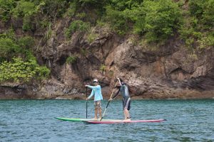 Paddle boards