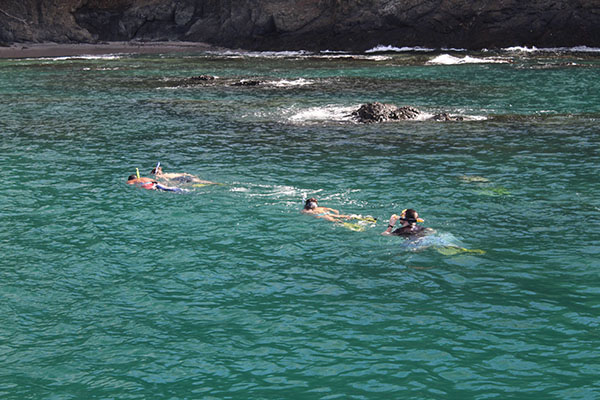 Andaz Papagayo Snorkeling